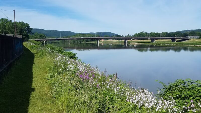 Katy Leary Park - Elmira, NY