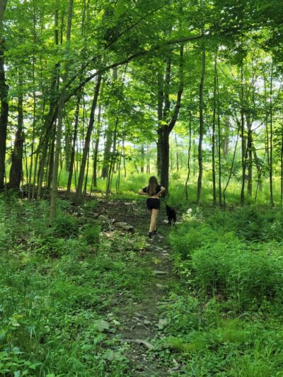 Personious Woods - Elmira, NY