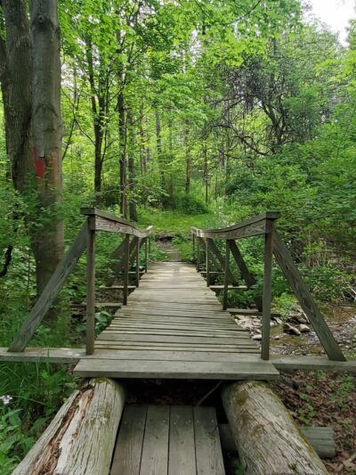 Personious Woods - Elmira, NY