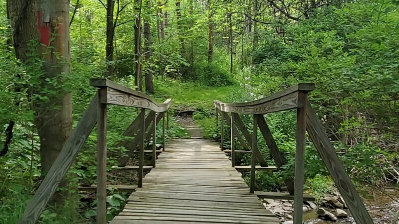 Personious Woods - Elmira, NY