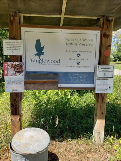 Personious Woods - Elmira, NY