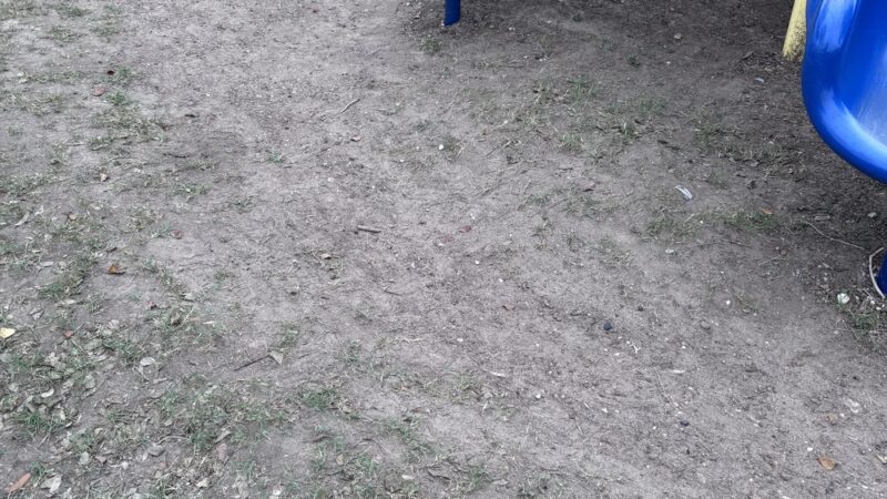 Elsa City Park - Elsa, TX