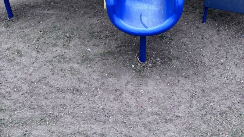 Elsa City Park - Elsa, TX