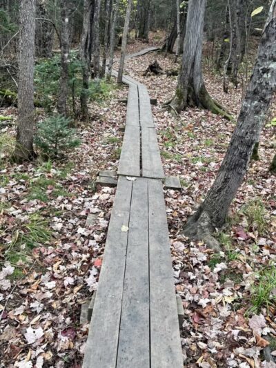 Kawishiwi Falls Trail - Ely, MN