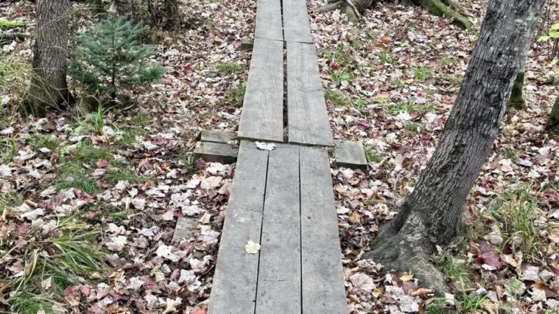 Kawishiwi Falls Trail - Ely, MN