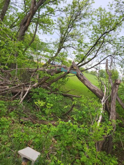 Sakatah State Trail - Elysian, MN