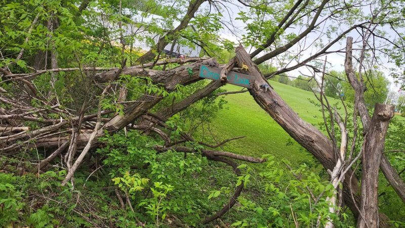 Sakatah State Trail - Elysian, MN