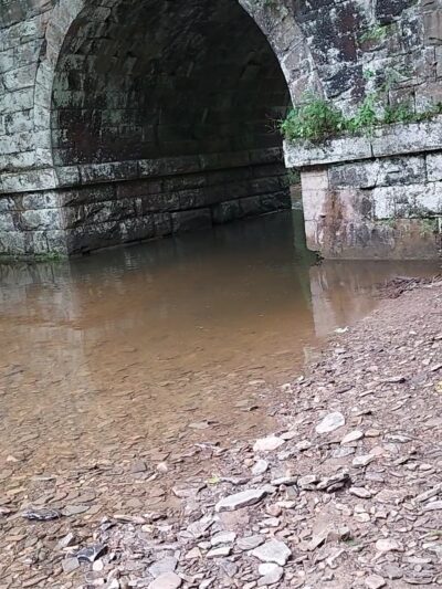 Allegheny River Trail, Emlenton Trailhead Parking - Emlenton, PA