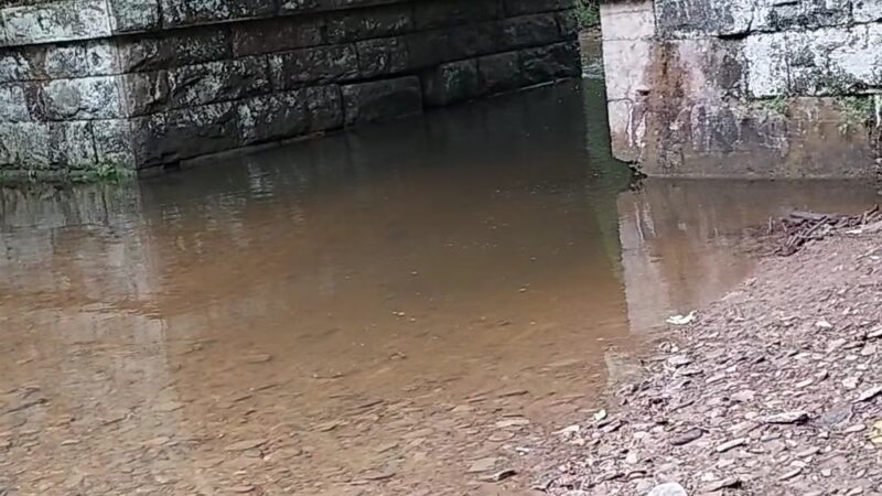 Allegheny River Trail, Emlenton Trailhead Parking - Emlenton, PA