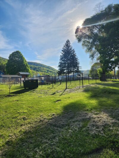 Cameron County Dog Park - Emporium, PA