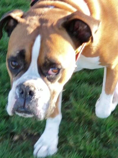 Encinitas Community Park - Encinitas, CA