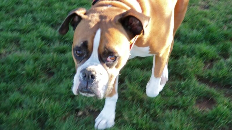 Encinitas Community Park - Encinitas, CA