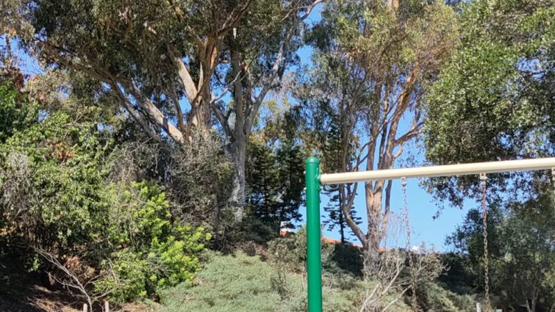 Encinitas Viewpoint - Encinitas, CA