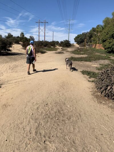 Power Lines Dog Park - Encinitas, CA