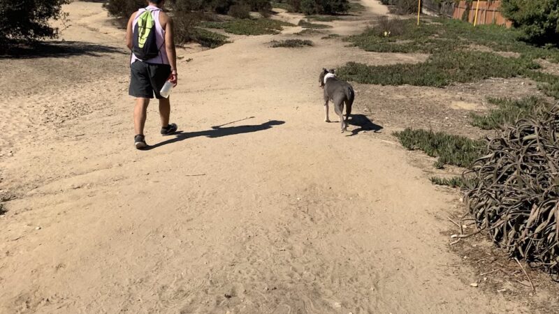 Power Lines Dog Park - Encinitas, CA
