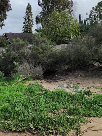 Power Lines Dog Park - Encinitas, CA