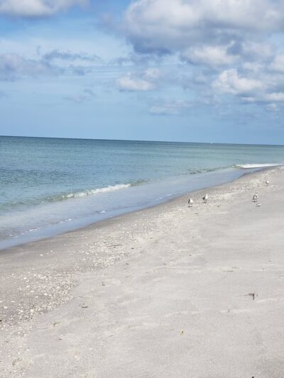 Blind Pass Beach - Englewood, FL