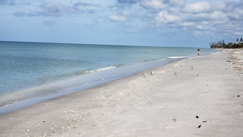 Blind Pass Beach - Englewood, FL