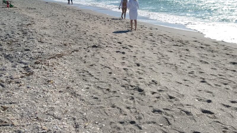 Blind Pass Beach - Englewood, FL