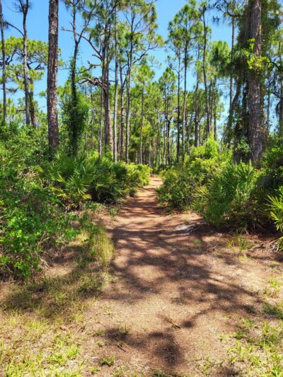 Cedar Point Environmental Park - Englewood, FL