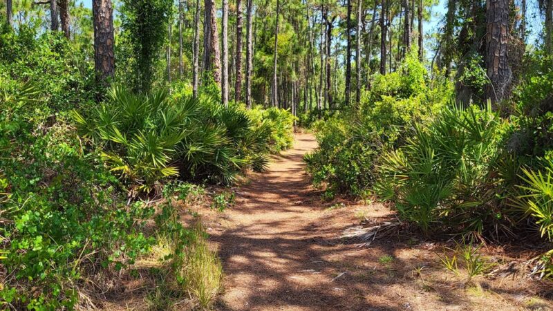 Cedar Point Environmental Park - Englewood, FL