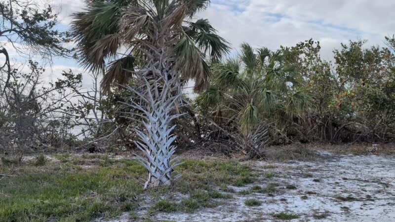 Cedar Point Environmental Park - Englewood, FL