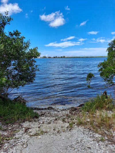 Cedar Point Environmental Park - Englewood, FL