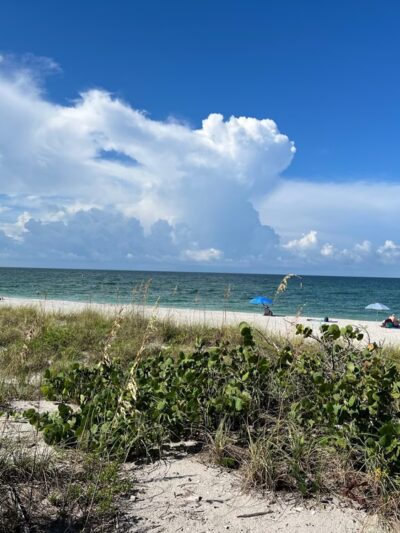 Englewood Public Beach - Englewood, FL