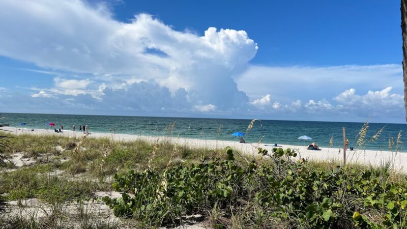 Englewood Public Beach - Englewood, FL