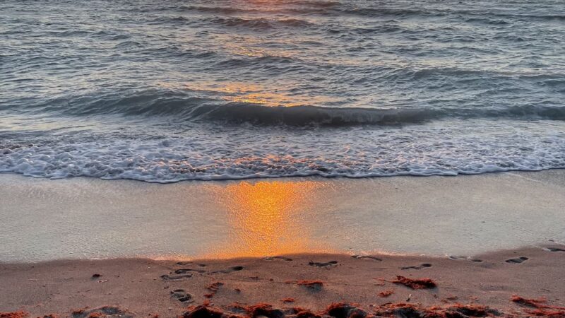 Englewood Public Beach - Englewood, FL