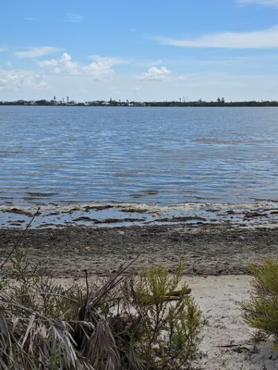 Lemon Bay Park - Englewood, FL
