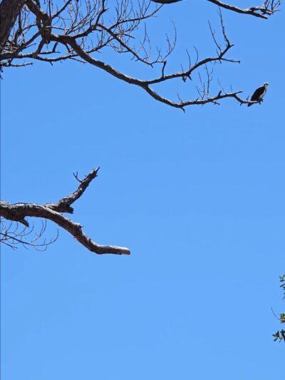 Lemon Bay Park - Englewood, FL