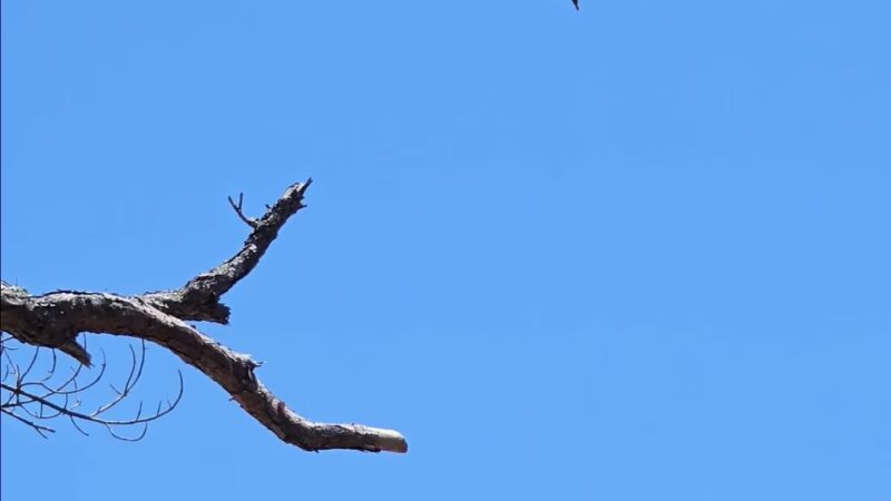 Lemon Bay Park - Englewood, FL