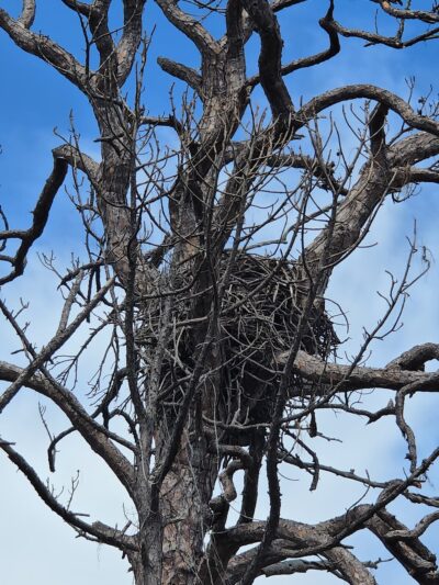 Lemon Bay Park - Englewood, FL