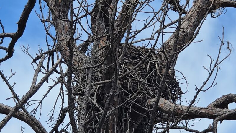 Lemon Bay Park - Englewood, FL
