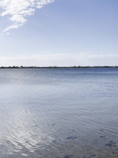 Lemon Bay Park & Environmental Center - Englewood, FL
