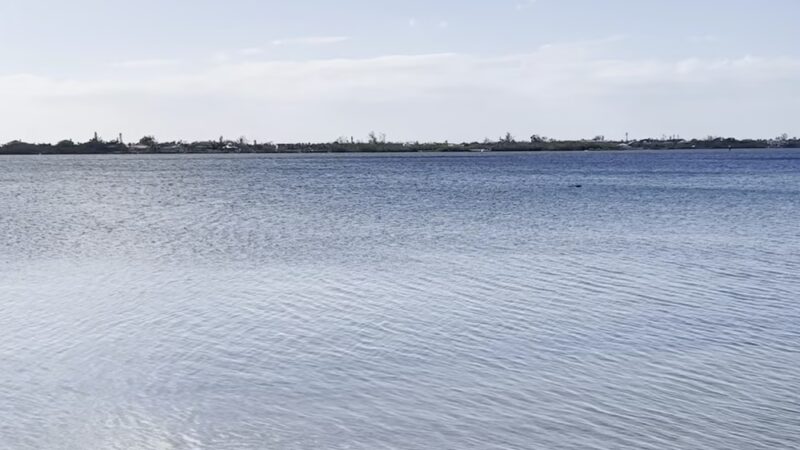 Lemon Bay Park & Environmental Center - Englewood, FL