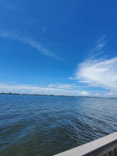 Lemon Bay Park & Environmental Center - Englewood, FL