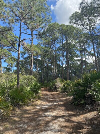 Oyster Creek Environmental Park - Englewood, FL