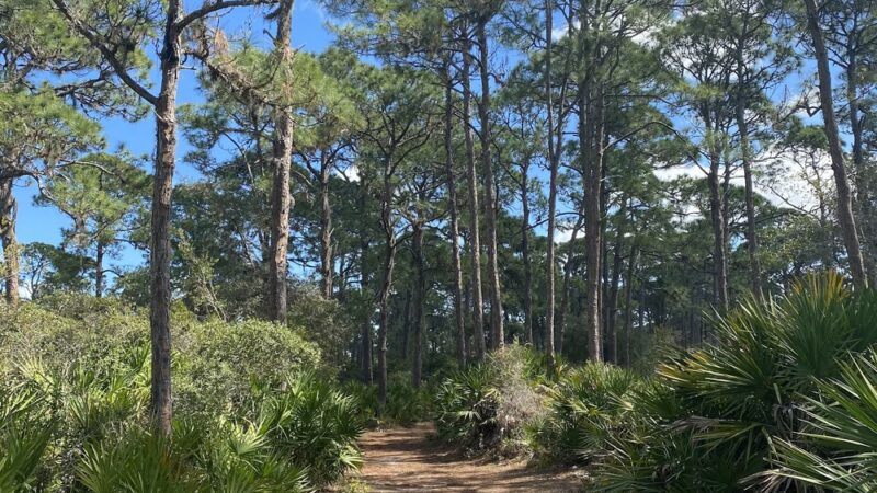 Oyster Creek Environmental Park - Englewood, FL
