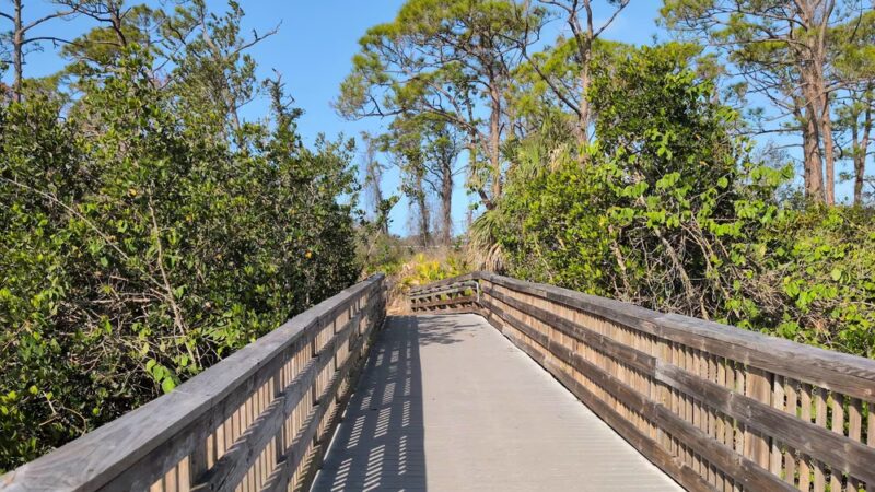 Oyster Creek Environmental Park - Englewood, FL