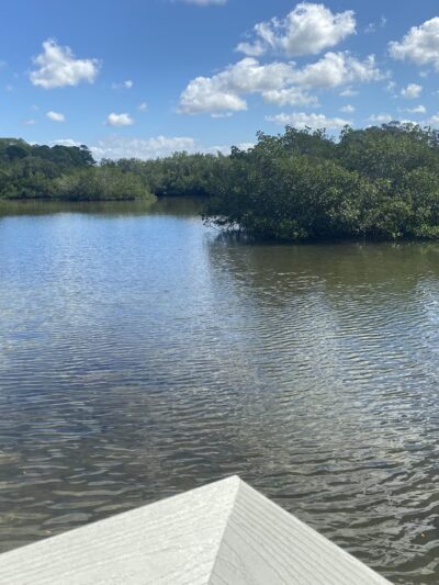 Oyster Creek Environmental Park - Englewood, FL
