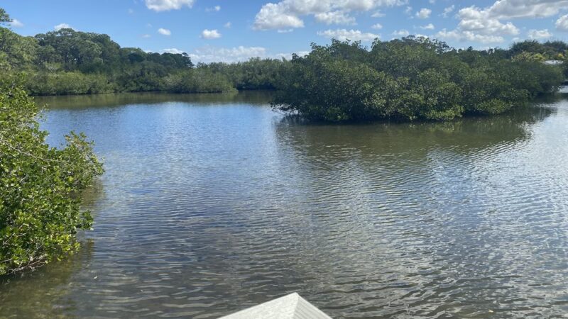 Oyster Creek Environmental Park - Englewood, FL