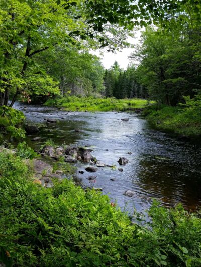 Acri Meadows - Enola, PA