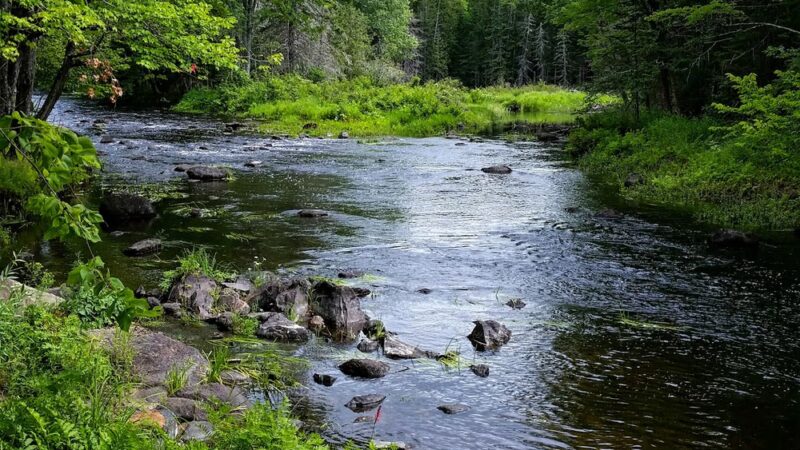 Acri Meadows - Enola, PA