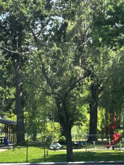 Acri Meadows - Enola, PA