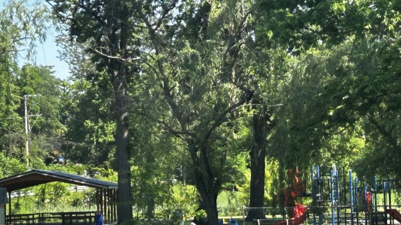 Acri Meadows - Enola, PA