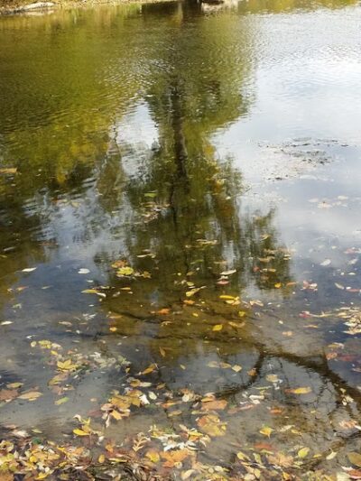 Acri Meadows - Enola, PA