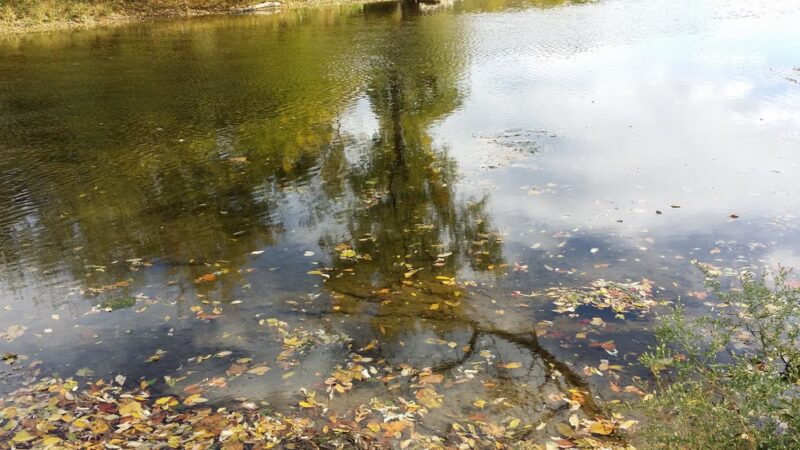 Acri Meadows - Enola, PA