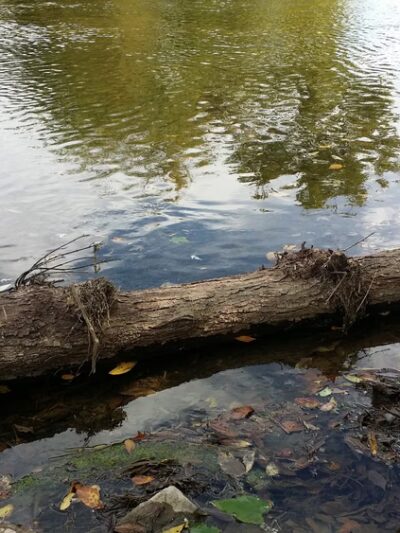 Acri Meadows - Enola, PA